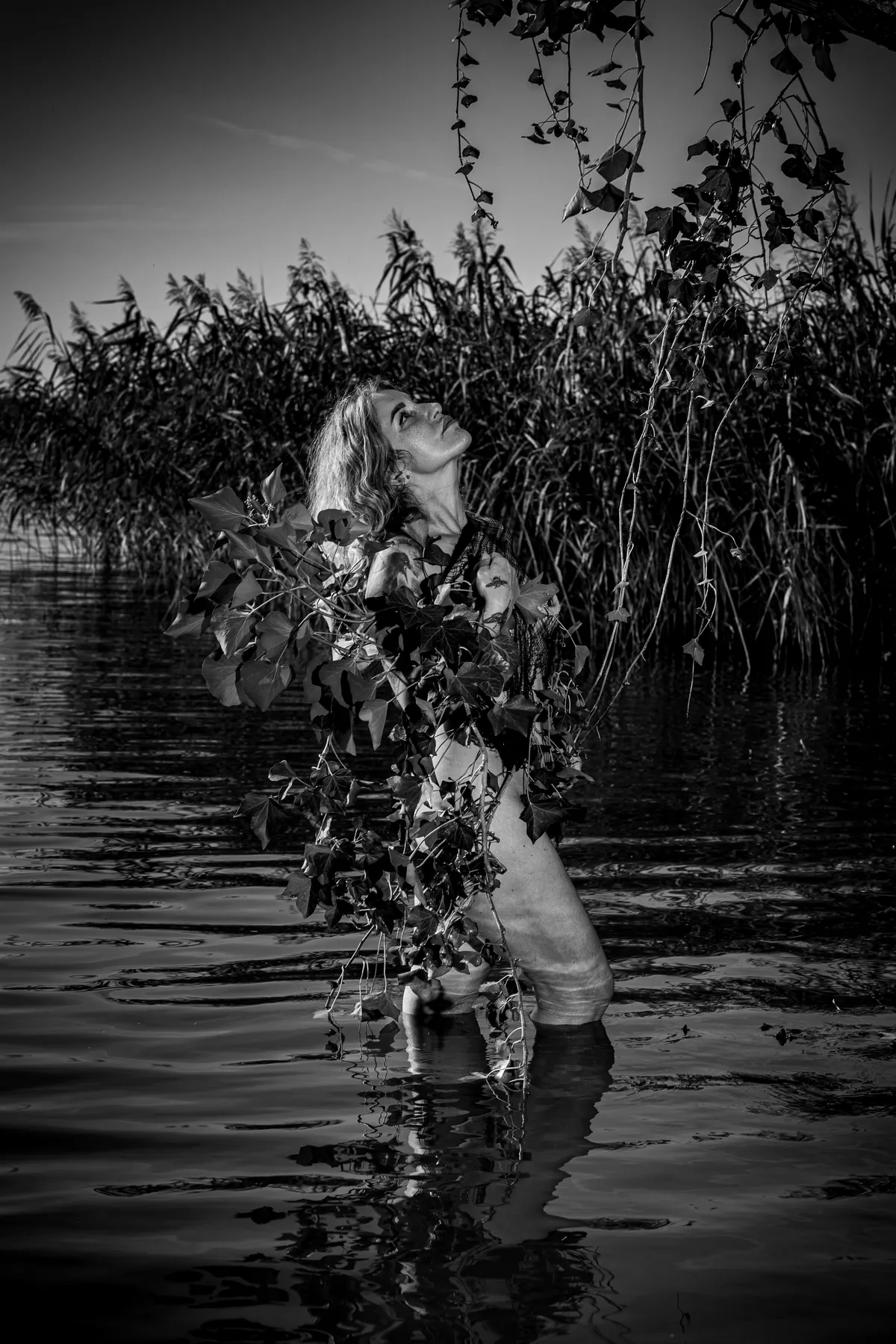 Fotografia artystyczna Pominkiewicza: Świtezianka — Ku Niebu